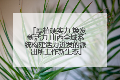 厚植硬实力 焕发新活力 山西全域系统构建活力迸发的派出所工作新生态