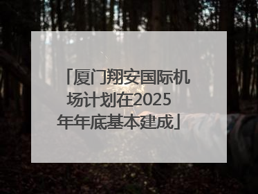 厦门翔安国际机场计划在2025年年底基本建成