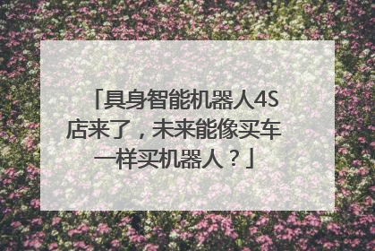 具身智能机器人4S店来了，未来能像买车一样买机器人？