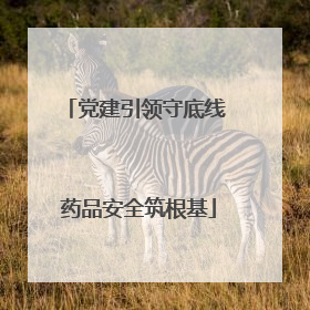 党建引领守底线 药品安全筑根基