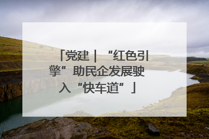 党建｜“红色引擎”助民企发展驶入“快车道”