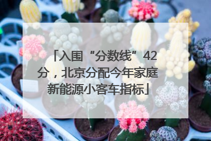 入围“分数线”42分，北京分配今年家庭新能源小客车指标