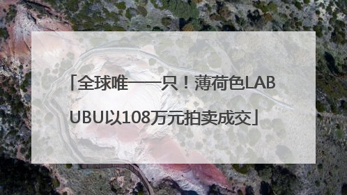 全球唯一一只！薄荷色LABUBU以108万元拍卖成交