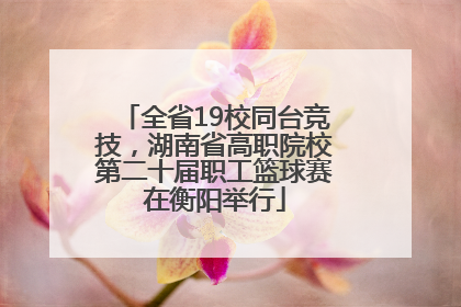 全省19校同台竞技，湖南省高职院校第二十届职工篮球赛在衡阳举行