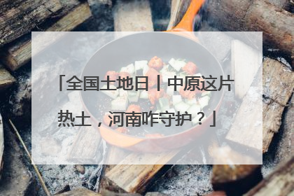 全国土地日丨中原这片热土，河南咋守护？