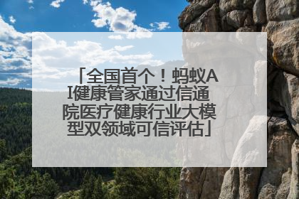 全国首个！蚂蚁AI健康管家通过信通院医疗健康行业大模型双领域可信评估