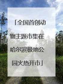 全国首创动物主题市集在哈尔滨极地公园火热开市