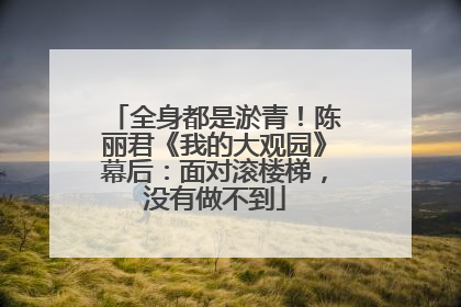 全身都是淤青！陈丽君《我的大观园》幕后：面对滚楼梯，没有做不到