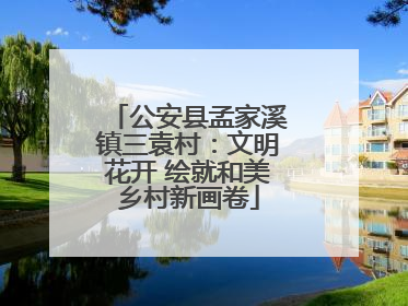 公安县孟家溪镇三袁村：文明花开 绘就和美乡村新画卷