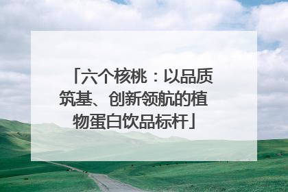 六个核桃：以品质筑基、创新领航的植物蛋白饮品标杆