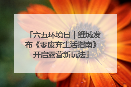 六五环境日｜鲤城发布《零废弃生活指南》开启露营新玩法