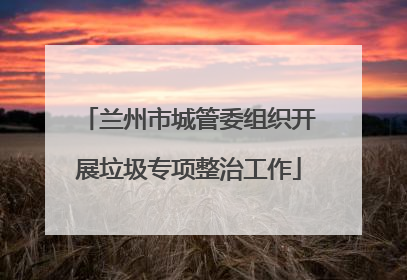 兰州市城管委组织开展垃圾专项整治工作