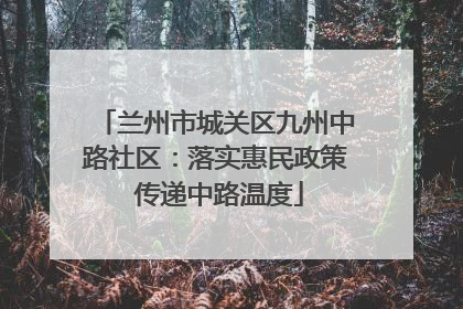兰州市城关区九州中路社区：落实惠民政策 传递中路温度