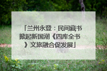 兰州永登：民间藏书掀起新国潮《四库全书》文旅融合促发展