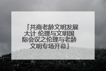 共商老龄文明发展大计 伦理与文明国际会议之伦理与老龄文明专场开幕