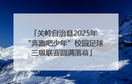 关岭自治县2025年“奔跑吧少年”校园足球三级联赛圆满落幕