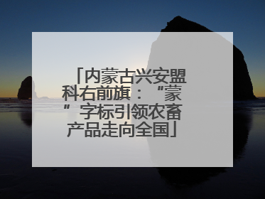 内蒙古兴安盟科右前旗：“蒙”字标引领农畜产品走向全国