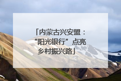 内蒙古兴安盟：“阳光银行”点亮乡村振兴路