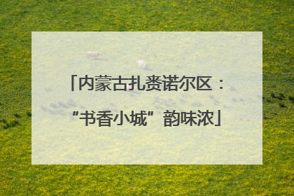 内蒙古扎赉诺尔区：“书香小城”韵味浓
