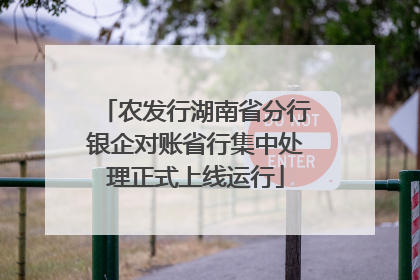 农发行湖南省分行银企对账省行集中处理正式上线运行