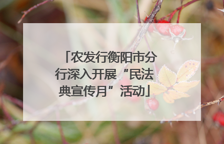 农发行衡阳市分行深入开展“民法典宣传月”活动