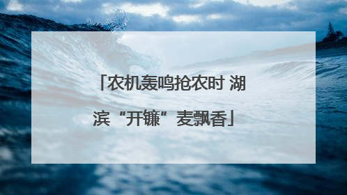 农机轰鸣抢农时 湖滨“开镰”麦飘香