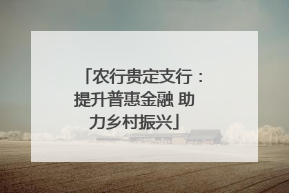农行贵定支行：提升普惠金融 助力乡村振兴