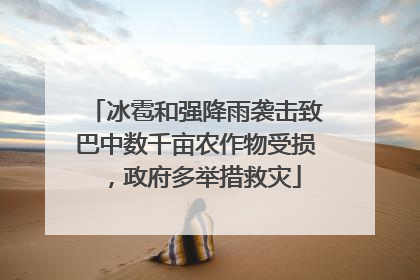 冰雹和强降雨袭击致巴中数千亩农作物受损，政府多举措救灾