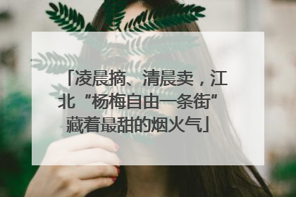 凌晨摘、清晨卖，江北“杨梅自由一条街”藏着最甜的烟火气