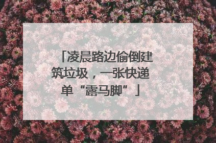 凌晨路边偷倒建筑垃圾，一张快递单“露马脚”