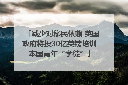 减少对移民依赖 英国政府将投30亿英镑培训本国青年“学徒”