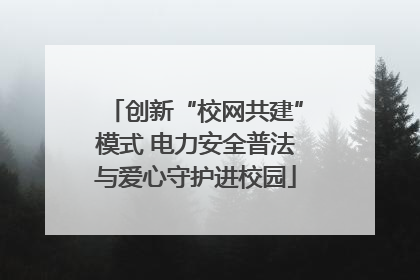 创新“校网共建”模式 电力安全普法与爱心守护进校园