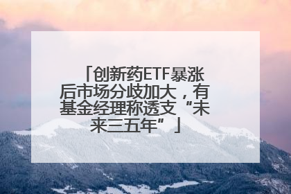 创新药ETF暴涨后市场分歧加大，有基金经理称透支“未来三五年”