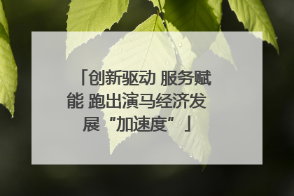 创新驱动 服务赋能 跑出演马经济发展“加速度”