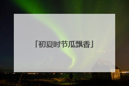 初夏时节瓜飘香