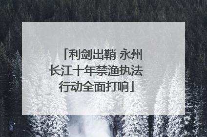 利剑出鞘 永州长江十年禁渔执法行动全面打响