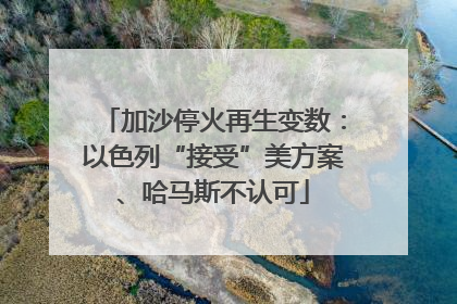 加沙停火再生变数：以色列“接受”美方案、哈马斯不认可