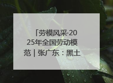 劳模风采·2025年全国劳动模范｜张广东：黑土地上的青春之歌