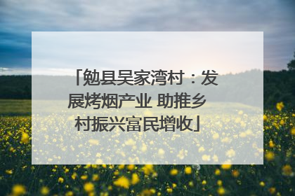 勉县吴家湾村：发展烤烟产业 助推乡村振兴富民增收