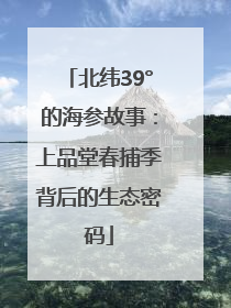 北纬39°的海参故事：上品堂春捕季背后的生态密码