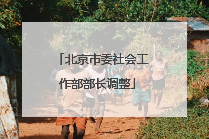 北京市委社会工作部部长调整