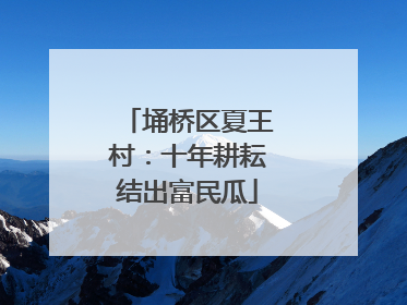 埇桥区夏王村：十年耕耘结出富民瓜
