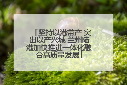坚持以港带产 突出以产兴城 兰州陆港加快推进一体化融合高质量发展