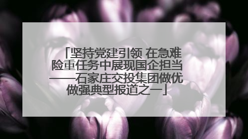 坚持党建引领 在急难险重任务中展现国企担当——石家庄交投集团做优做强典型报道之一