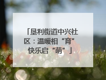 垦利街道中兴社区：温暖相“育” 快乐启“萌”