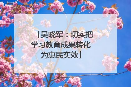 吴晓军：切实把学习教育成果转化为惠民实效