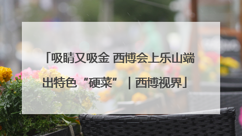 吸睛又吸金 西博会上乐山端出特色“硬菜”｜西博视界