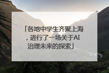 各地中学生齐聚上海，进行了一场关于AI治理未来的探索