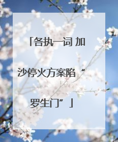 各执一词 加沙停火方案陷“罗生门”