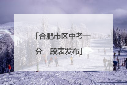 合肥市区中考一分一段表发布